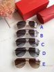 Copy Cartier Ca0915 Sunglasses - Newest Style (2)_th.jpg